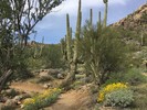 photo thumbnail #15
