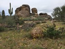 photo thumbnail #6