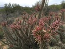photo thumbnail #5