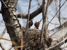 photo thumbnail #8