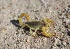 photo thumbnail #10