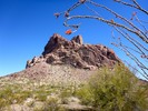 photo thumbnail #7