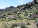 photo thumbnail #1