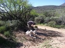 photo thumbnail #5