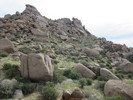 photo thumbnail #6