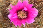 photo thumbnail #1