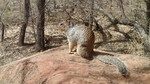 photo thumbnail #1