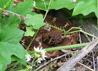 photo thumbnail #2