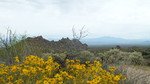photo thumbnail #2