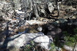 photo thumbnail #13