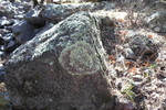 photo thumbnail #14