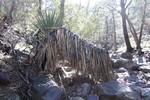 photo thumbnail #15