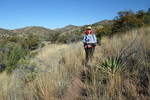 photo thumbnail #4