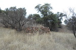 photo thumbnail #5