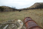 photo thumbnail #9