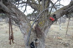 photo thumbnail #10