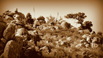 photo thumbnail #8