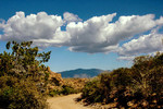 photo thumbnail #9