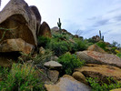 photo thumbnail #4