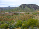 photo thumbnail #6