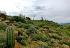 photo thumbnail #9