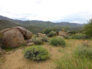 photo thumbnail #13
