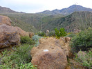 photo thumbnail #14