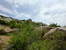 photo thumbnail #4