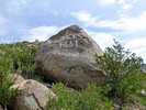 photo thumbnail #6