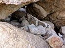 photo thumbnail #14