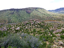 photo thumbnail #15