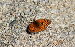 photo thumbnail #15