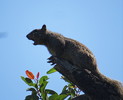 photo thumbnail #8