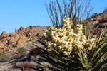 photo thumbnail #13