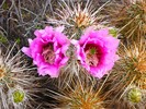 photo thumbnail #5