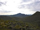 photo thumbnail #8