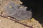 photo thumbnail #8