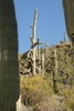 photo thumbnail #9