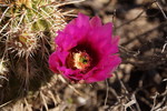 photo thumbnail #11