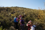 photo thumbnail #12