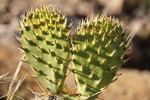 photo thumbnail #13