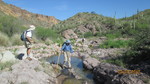 photo thumbnail #5