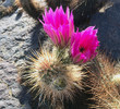 photo thumbnail #3