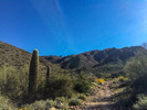photo thumbnail #3