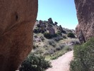 photo thumbnail #3