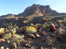 photo thumbnail #3