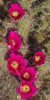 photo thumbnail #9
