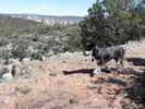 photo thumbnail #5