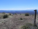 photo thumbnail #6