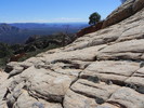 photo thumbnail #10